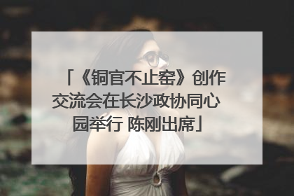 《铜官不止窑》创作交流会在长沙政协同心园举行 陈刚出席