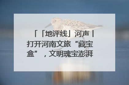 「地评线」河声丨打开河南文旅“藏宝盒”，文明瑰宝澎湃发展“豫动能”