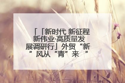 「新时代 新征程 新伟业·高质量发展调研行」外贸“新”风从“青”来 “双向奔赴”启新程