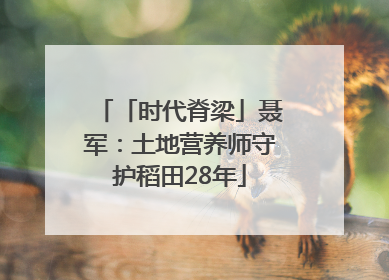 「时代脊梁」聂军：土地营养师守护稻田28年