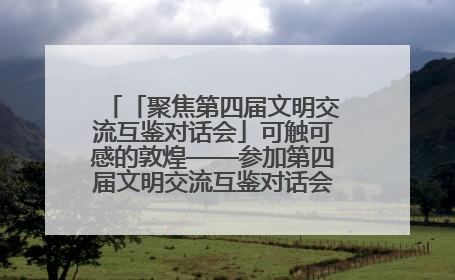「聚焦第四届文明交流互鉴对话会」可触可感的敦煌——参加第四届文明交流互鉴对话会的外宾参观上元市集