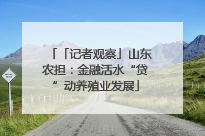 「记者观察」山东农担：金融活水“贷”动养殖业发展