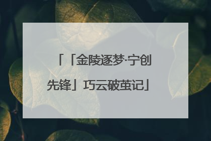 「金陵逐梦·宁创先锋」巧云破茧记