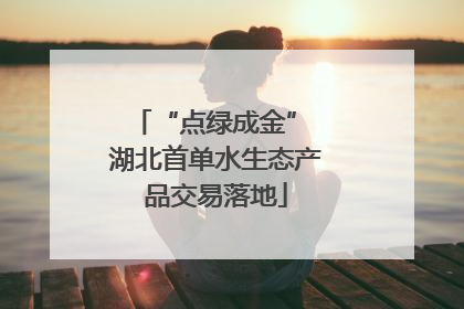 “点绿成金” 湖北首单水生态产品交易落地