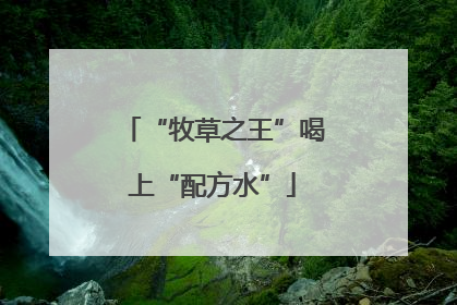 “牧草之王”喝上“配方水”