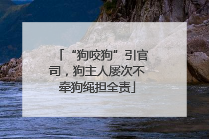 “狗咬狗”引官司，狗主人屡次不牵狗绳担全责