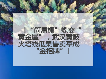 “简易棚”蝶变“黄金屋”，武汉黄陂火塔线瓜果售卖亭成“金招牌”