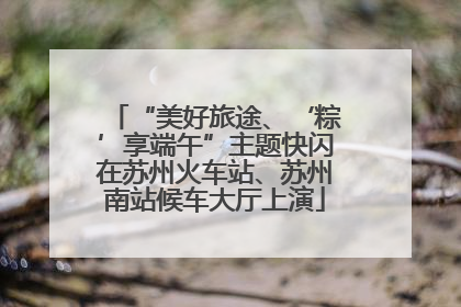 “美好旅途、‘粽’享端午”主题快闪在苏州火车站、苏州南站候车大厅上演