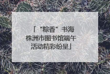 “粽香”书海 株洲市图书馆端午活动精彩纷呈