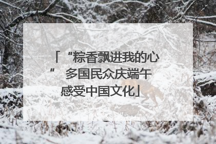 “粽香飘进我的心” 多国民众庆端午感受中国文化