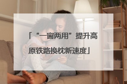 “一窗两用”提升高原铁路换枕新速度