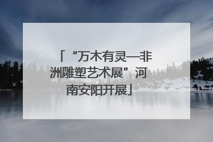 “万木有灵—非洲雕塑艺术展”河南安阳开展
