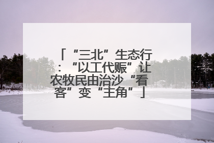 “三北”生态行：“以工代赈”让农牧民由治沙“看客”变“主角”
