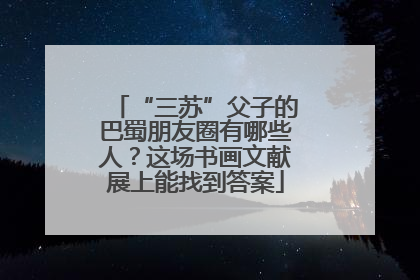“三苏”父子的巴蜀朋友圈有哪些人？这场书画文献展上能找到答案