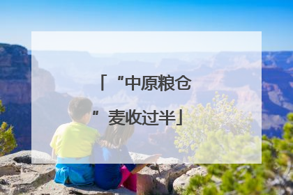 “中原粮仓”麦收过半
