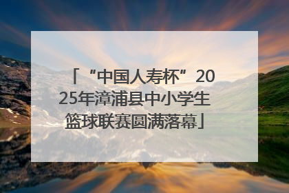 “中国人寿杯”2025年漳浦县中小学生篮球联赛圆满落幕