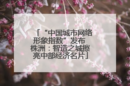 “中国城市网络形象指数”发布 株洲：智造之城擦亮中部经济名片