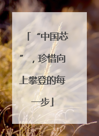 “中国芯”，珍惜向上攀登的每一步