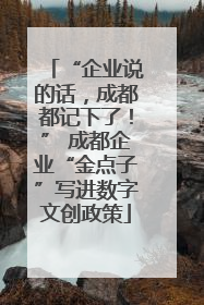 “企业说的话，成都都记下了！” 成都企业“金点子”写进数字文创政策