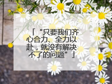 “只要我们齐心合力、全力以赴，就没有解决不了的问题”