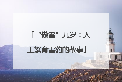 “傲雪”九岁：人工繁育雪豹的故事