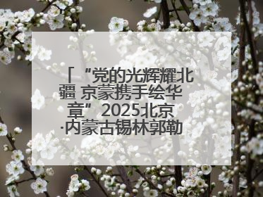 “党的光辉耀北疆 京蒙携手绘华章”2025北京·内蒙古锡林郭勒盟三地成果汇报展系列活动启动