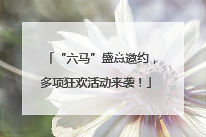 “六马”盛意邀约，多项狂欢活动来袭！