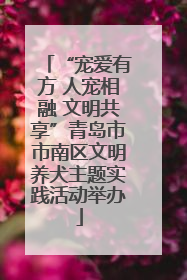 “宠爱有方 人宠相融 文明共享”青岛市市南区文明养犬主题实践活动举办
