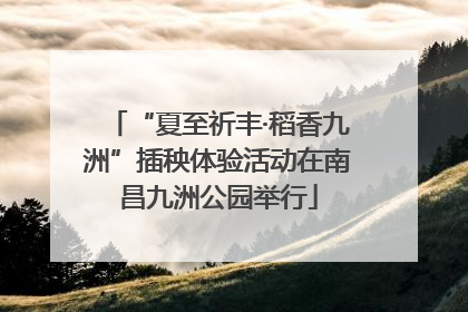 “夏至祈丰·稻香九洲”插秧体验活动在南昌九洲公园举行