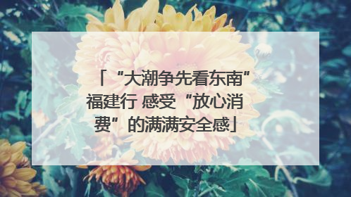 “大潮争先看东南”福建行 感受“放心消费”的满满安全感