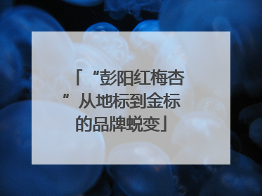 “彭阳红梅杏”从地标到金标的品牌蜕变