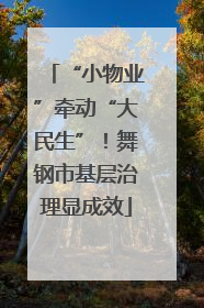 “小物业”牵动“大民生”！舞钢市基层治理显成效