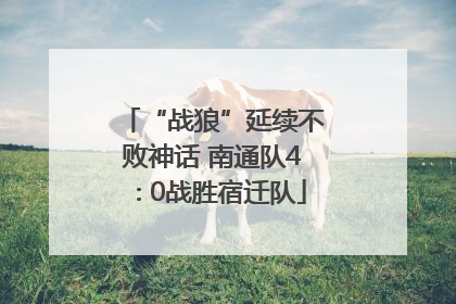 “战狼”延续不败神话 南通队4∶0战胜宿迁队