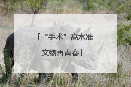“手术”高水准 文物再青春