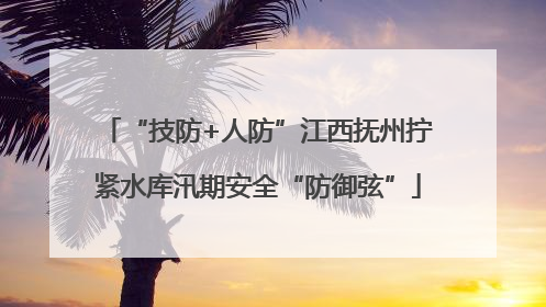 “技防+人防”江西抚州拧紧水库汛期安全“防御弦”
