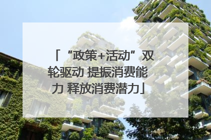 “政策+活动”双轮驱动 提振消费能力 释放消费潜力