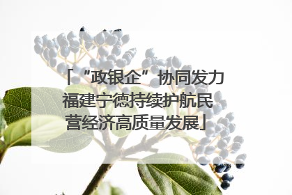 “政银企”协同发力 福建宁德持续护航民营经济高质量发展
