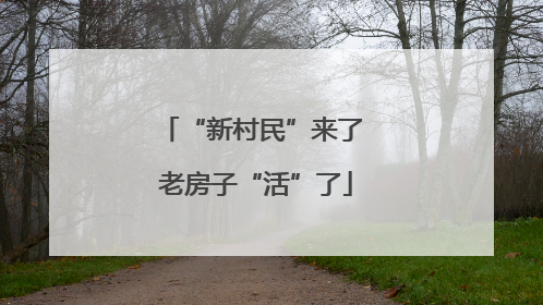 “新村民”来了 老房子“活”了