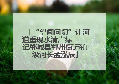 “望闻问切”让河道重现水清岸绿——记郓城县郓州街道镇级河长孟泓辰
