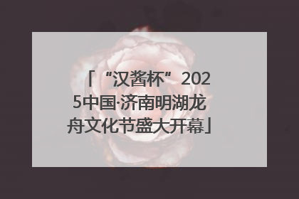 “汉酱杯”2025中国·济南明湖龙舟文化节盛大开幕