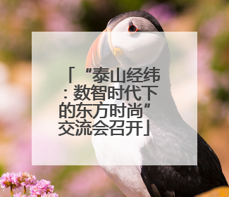 “泰山经纬：数智时代下的东方时尚”交流会召开