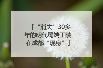 “消失”30多年的明代蜀端王陵在成都“现身”