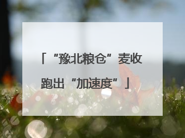“豫北粮仓”麦收跑出“加速度”