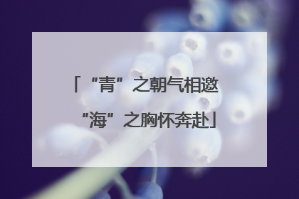 “青”之朝气相邀 “海”之胸怀奔赴