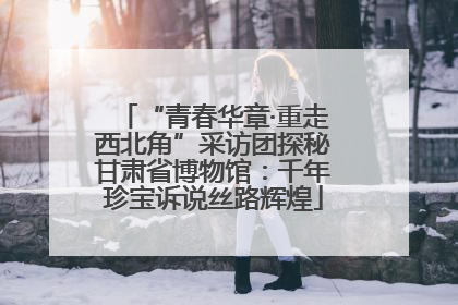 “青春华章·重走西北角”采访团探秘甘肃省博物馆：千年珍宝诉说丝路辉煌