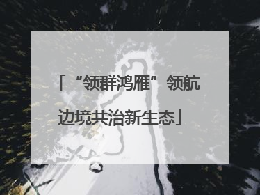 “领群鸿雁”领航边境共治新生态
