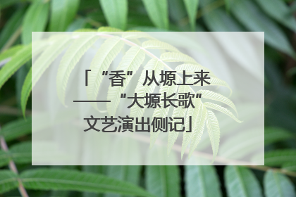 “香”从塬上来——“大塬长歌”文艺演出侧记