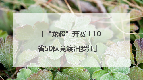 “龙超”开赛！10省50队竞渡汨罗江