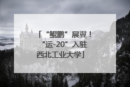 “鲲鹏”展翼！“运-20”入驻西北工业大学