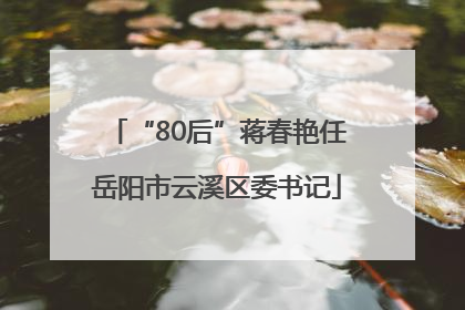 “80后”蒋春艳任岳阳市云溪区委书记